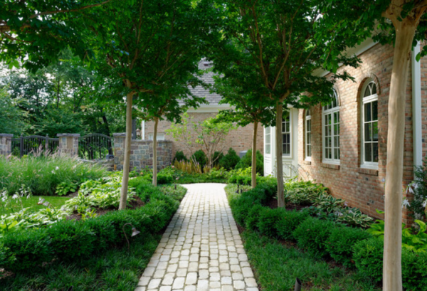 Taman dengan pohon-pohonan rindang